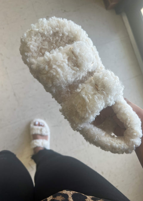 Teddy Slippers